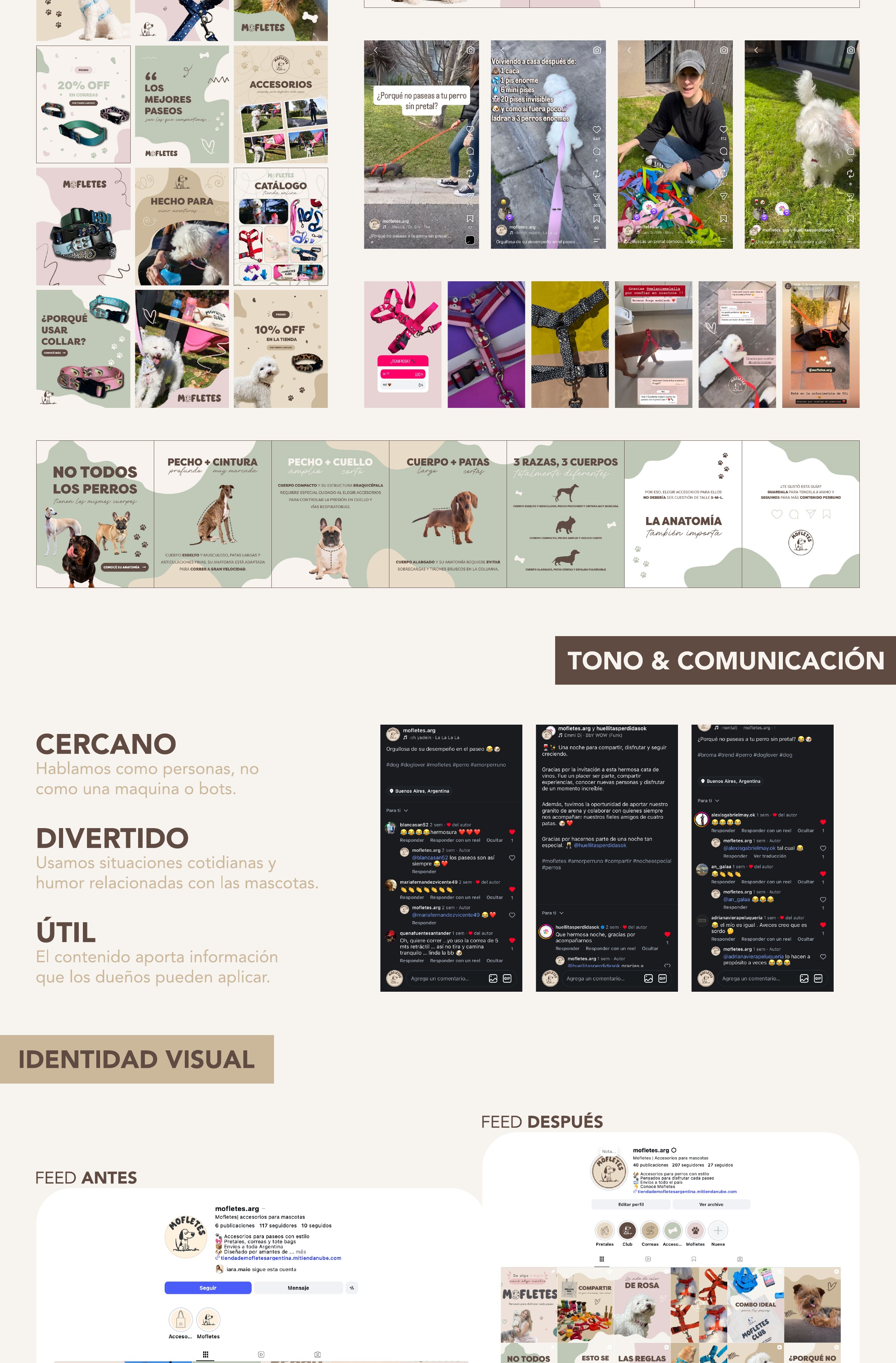 Mofletes — gestión de redes e identidad visual, parte 3
